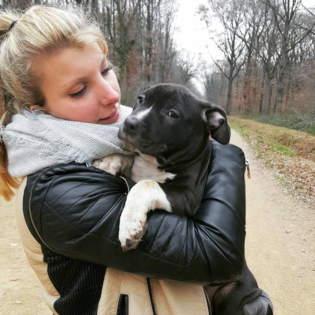 Opti chiot dans mes bras