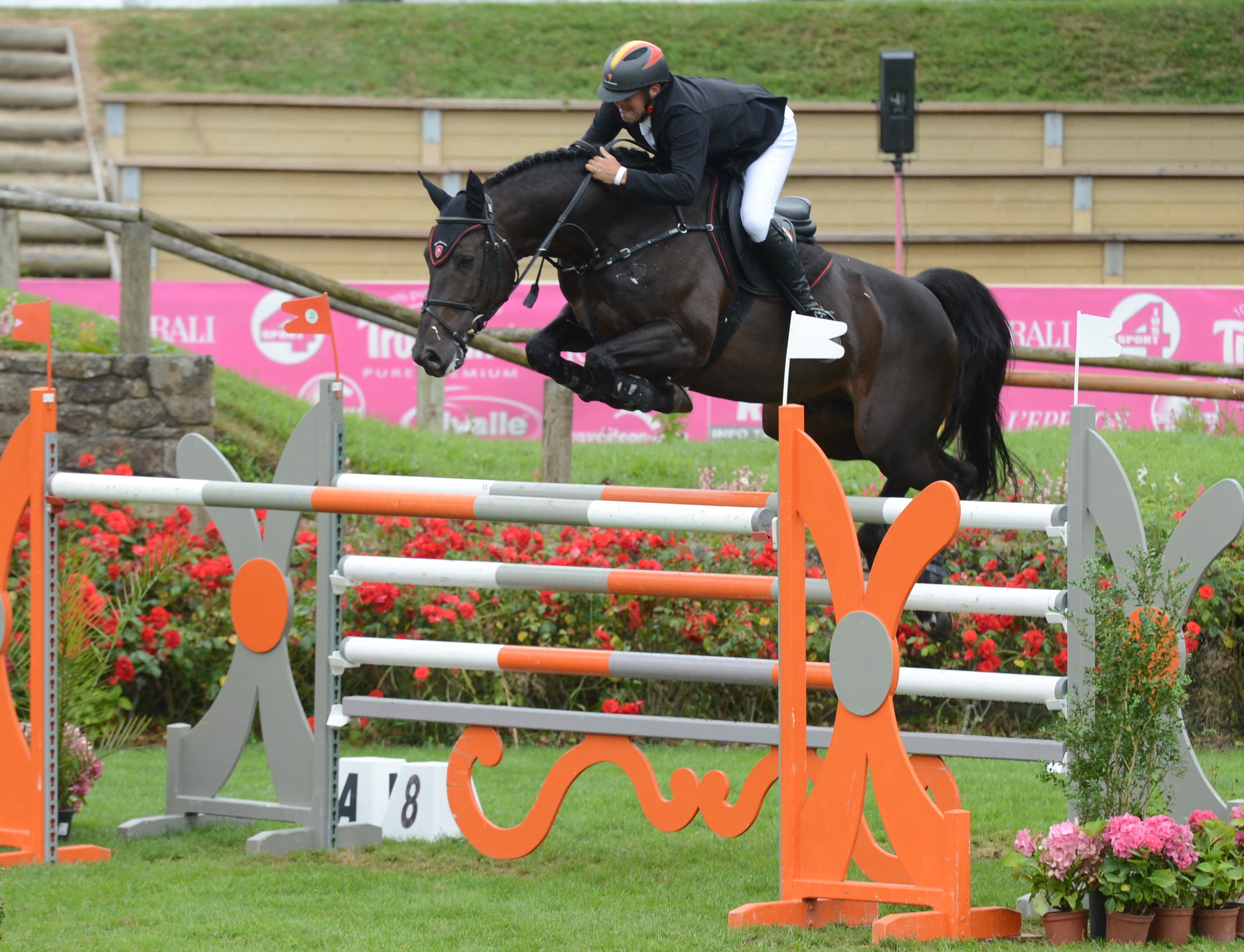 Best of opus dei z dominique joassin pixelsevents vainqueur du gp csi2 de dinard