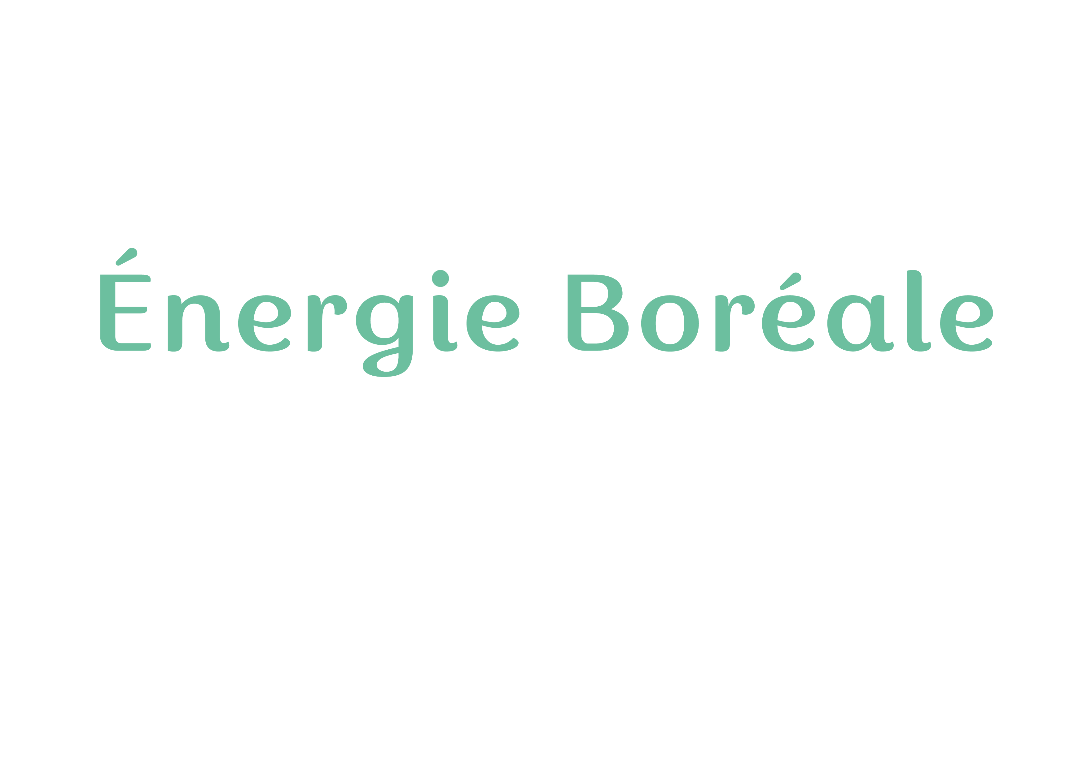 Energieborealevert