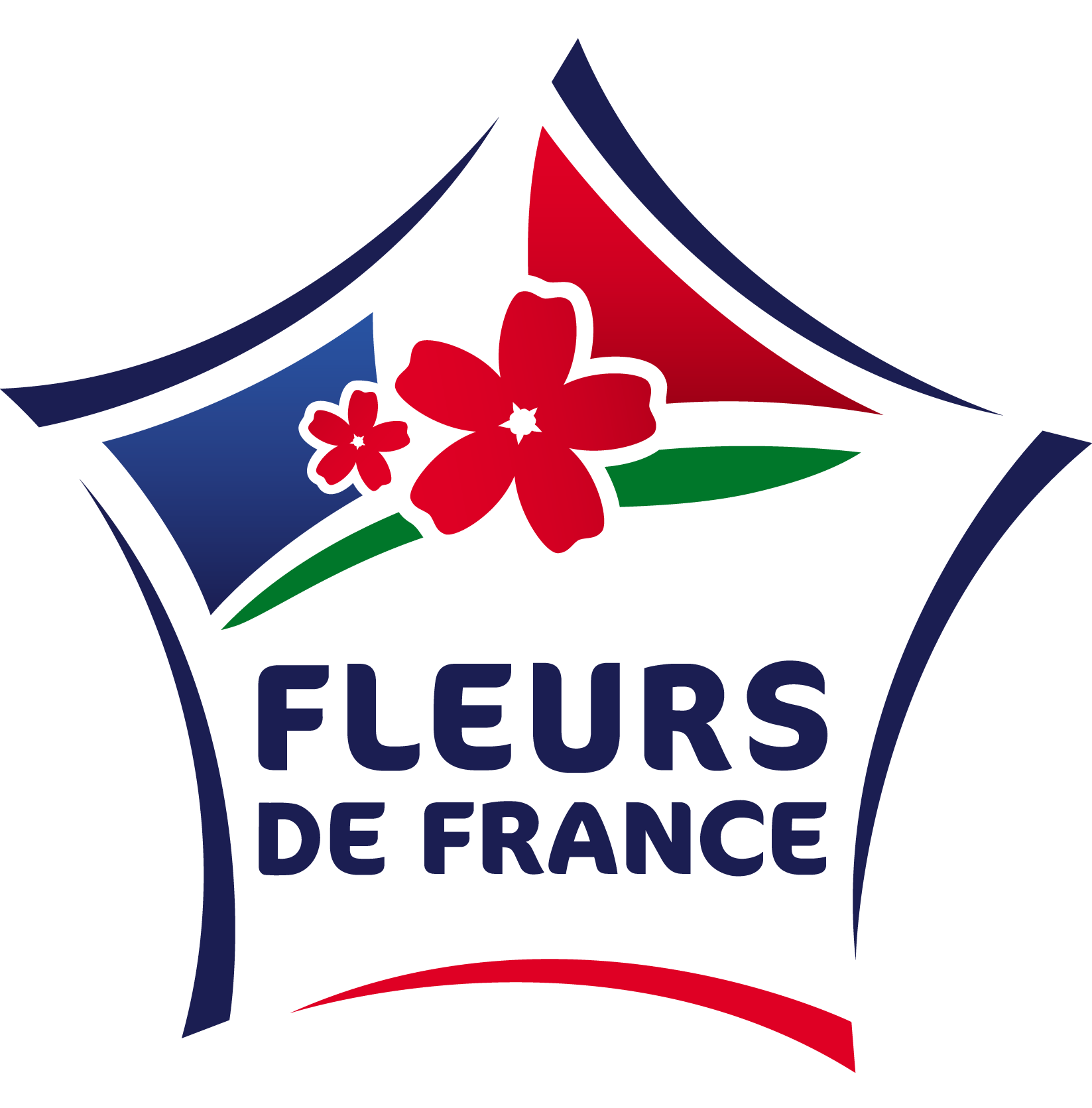 Logo fleurs de france rvb
