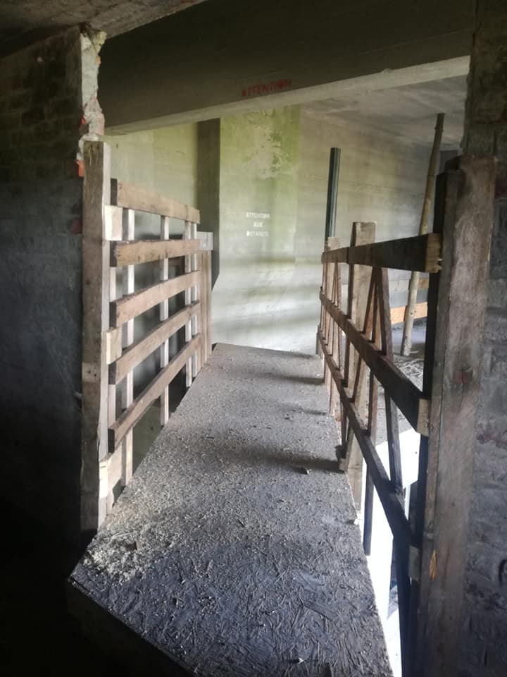 103369758 3499575986727618 5217539107215478050 n