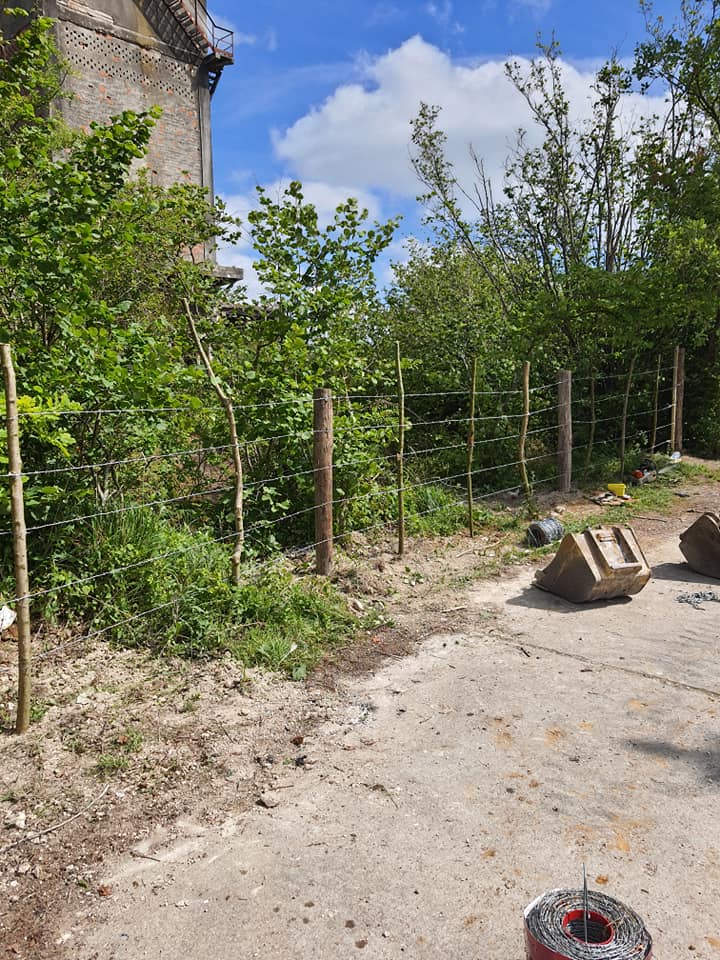 104430227 3521224124562804 7838038273437806608 n