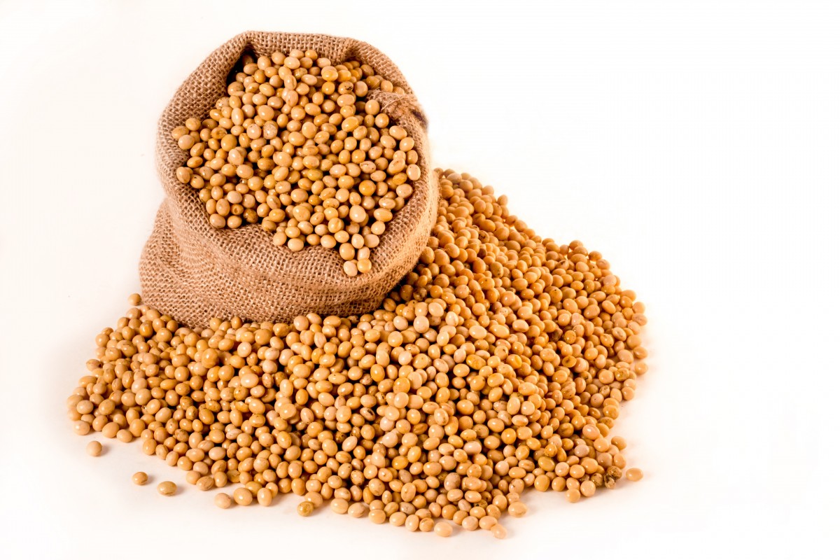 Soja