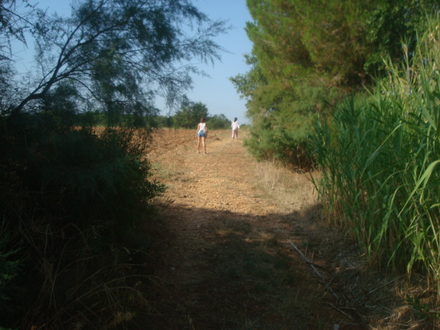 Photos 2020 3162
