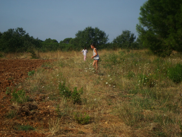 Photos 2020 3164