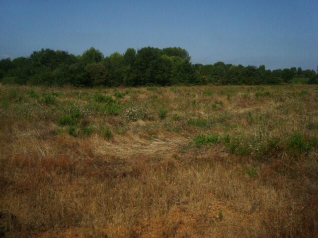 Photos 2020 3165