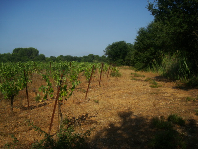 Photos 2020 3170