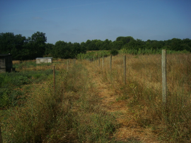 Photos 2020 3172