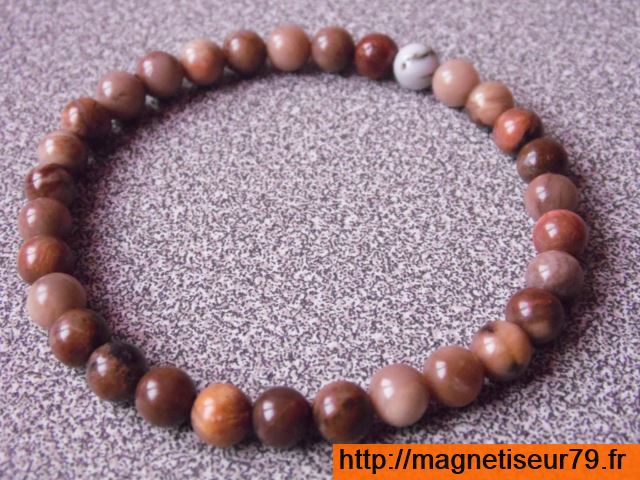 Bois-Fossile-06-A-3-640x480-
