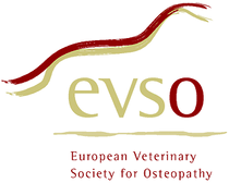 Logo-evso