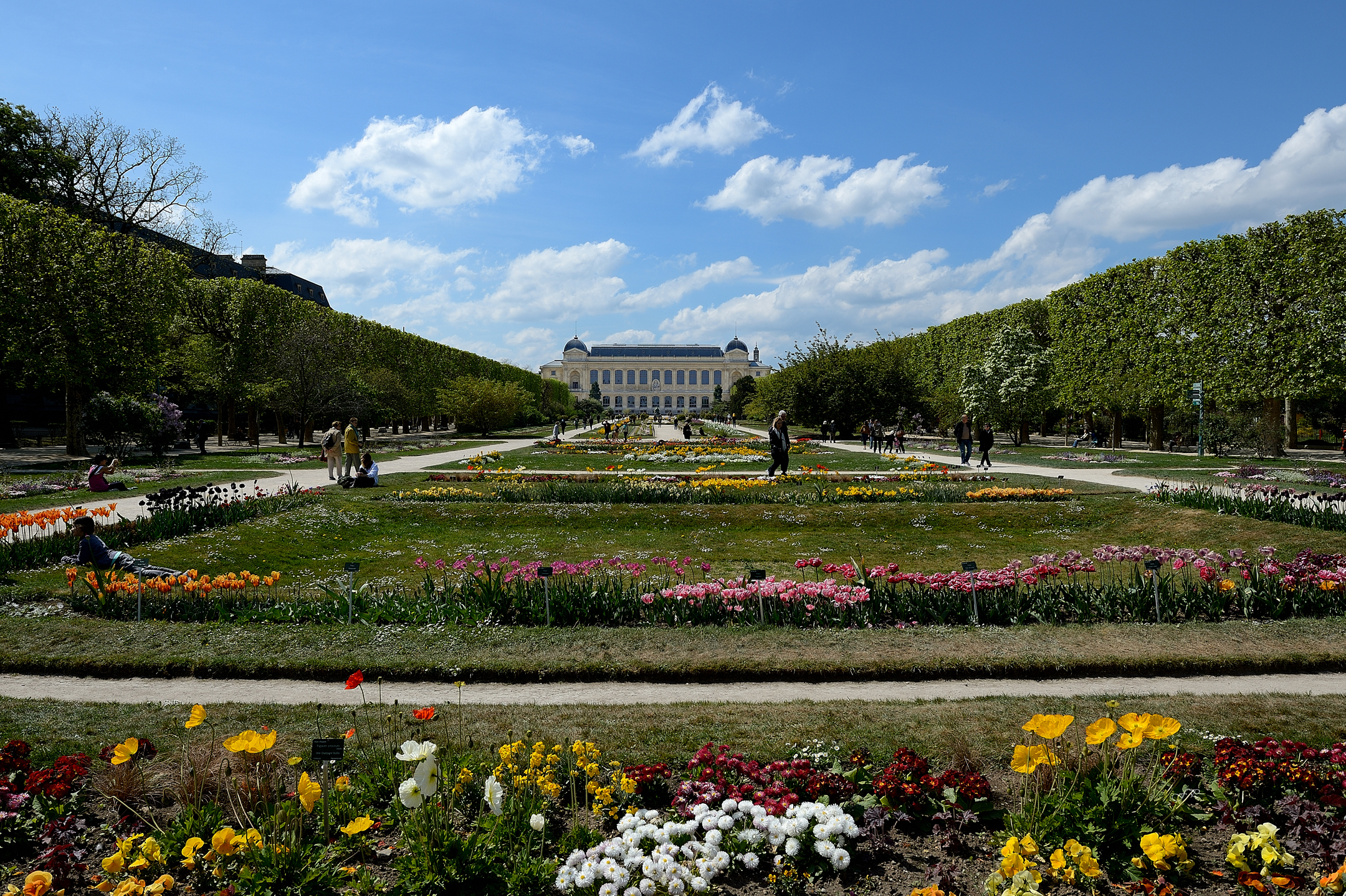 Dsc 5527 1