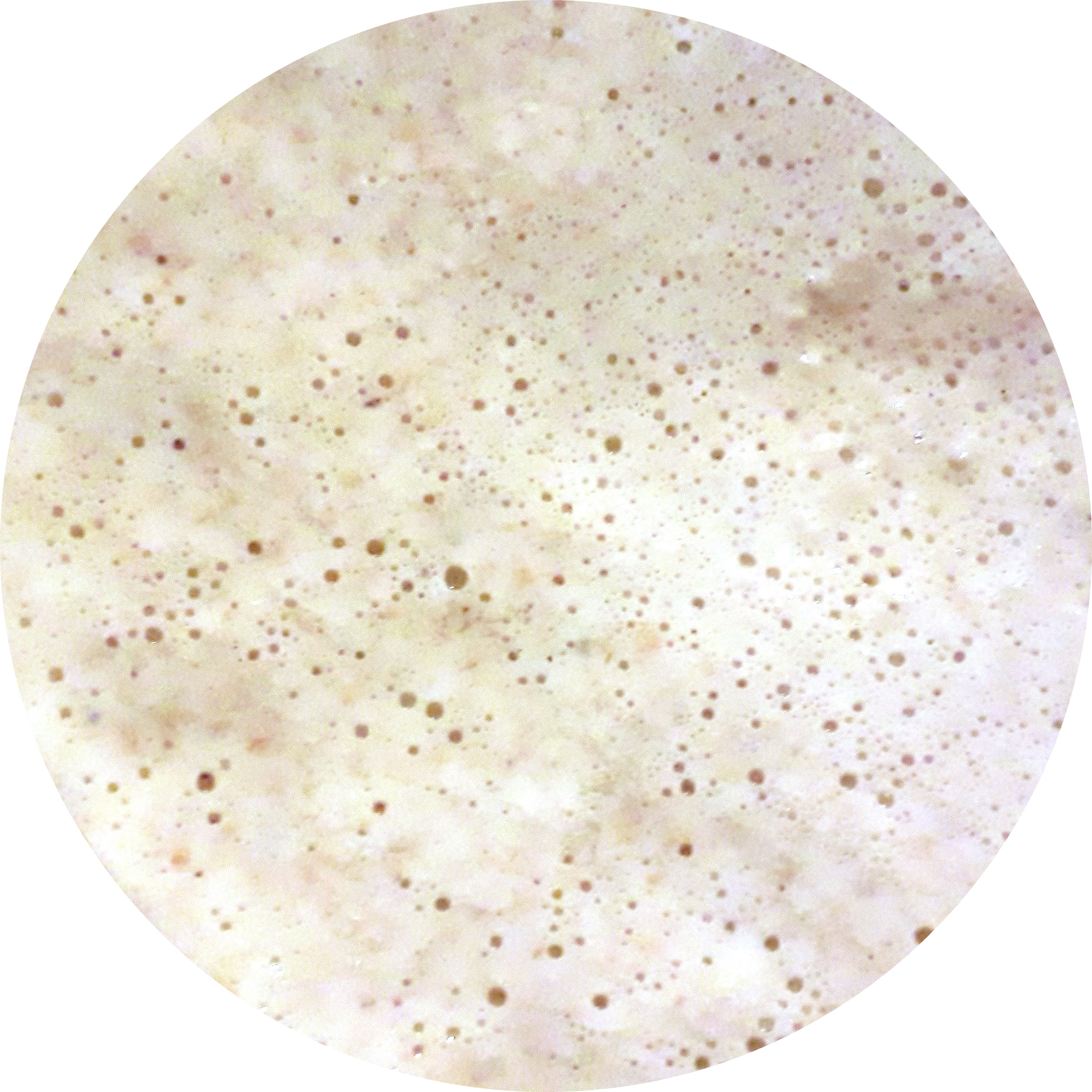 Levain-1-
