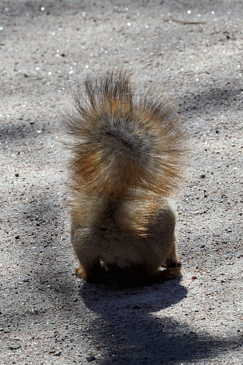 Dsc 5718