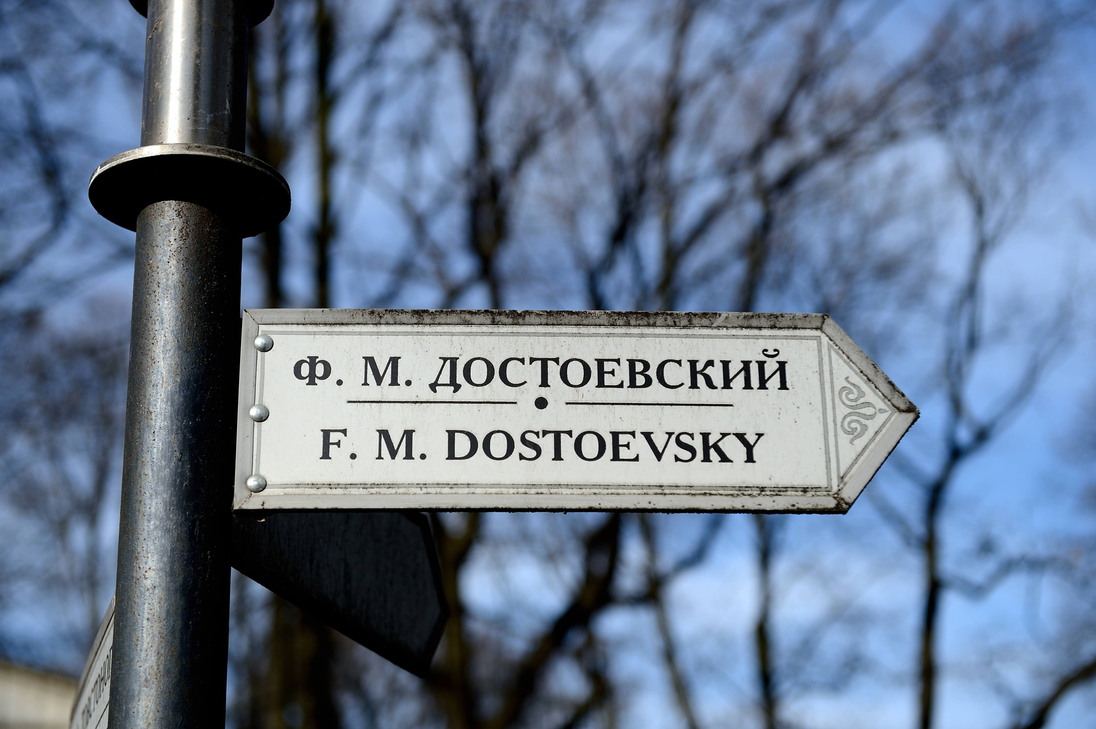 Dsc 5998