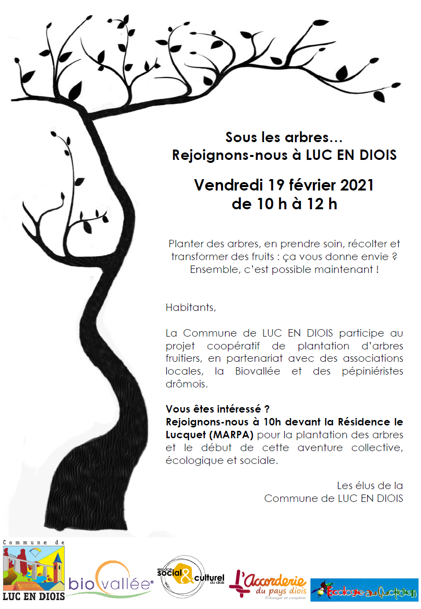 Participation à la plantation d'arbres