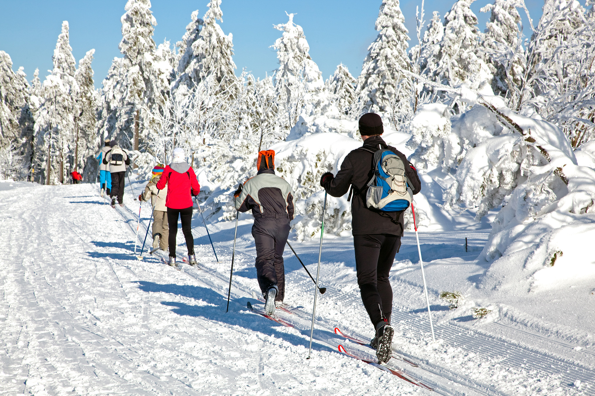 Ski de fond