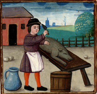 La tradition du cochon