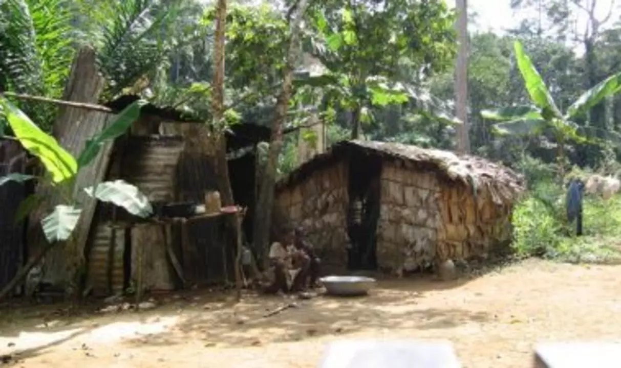 Pymees campo