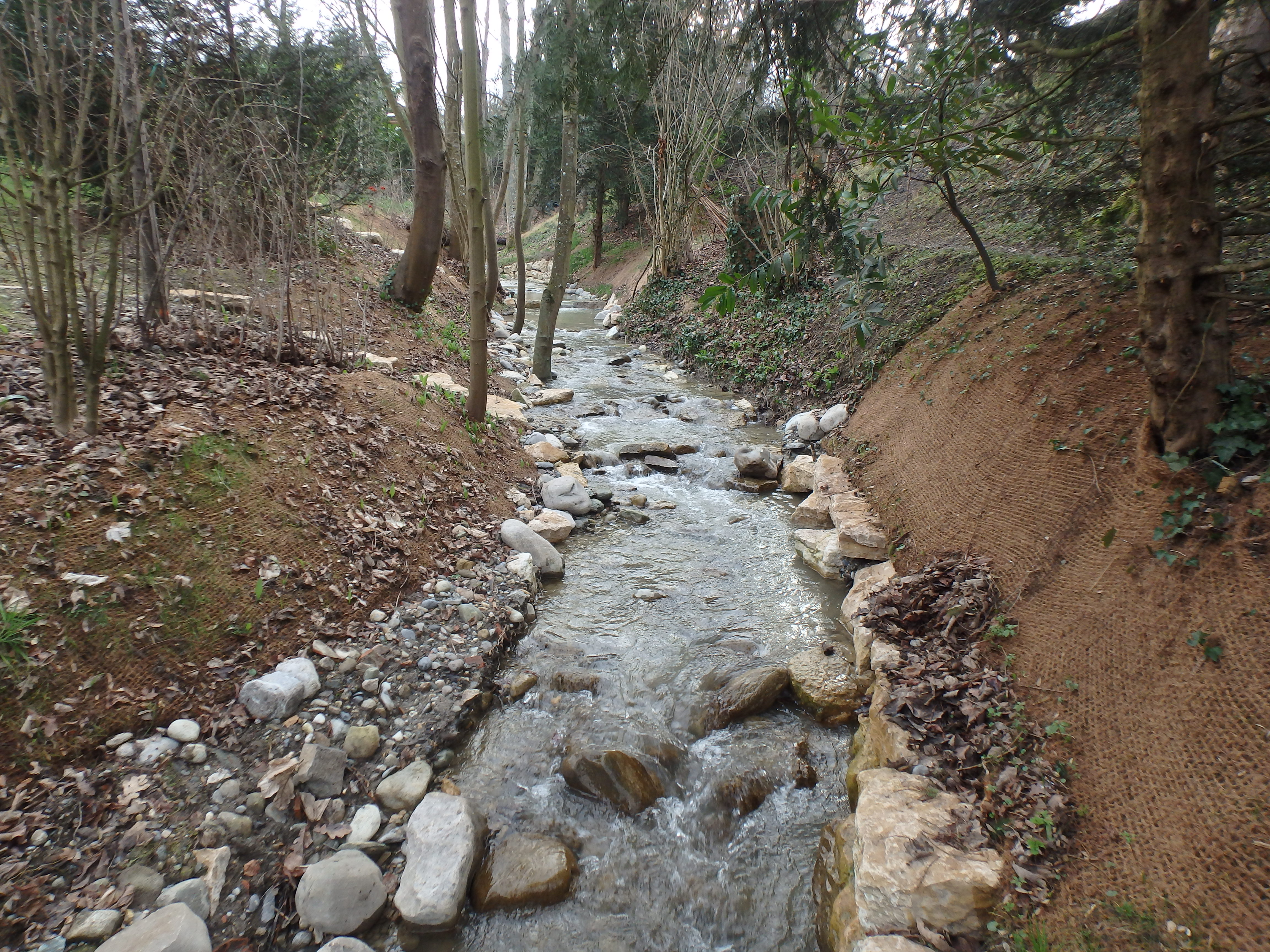 Nant aisy