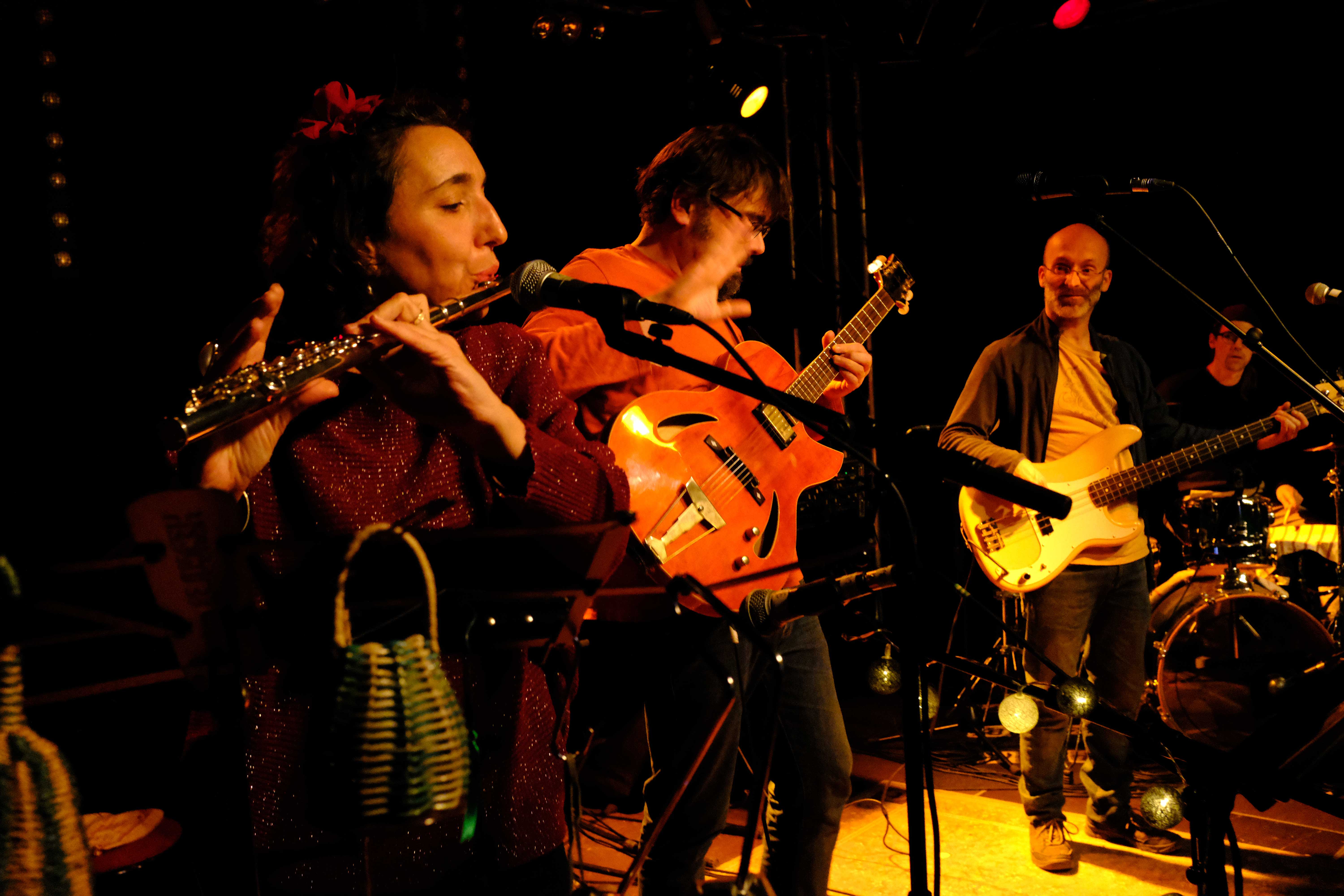 Fredox en concert