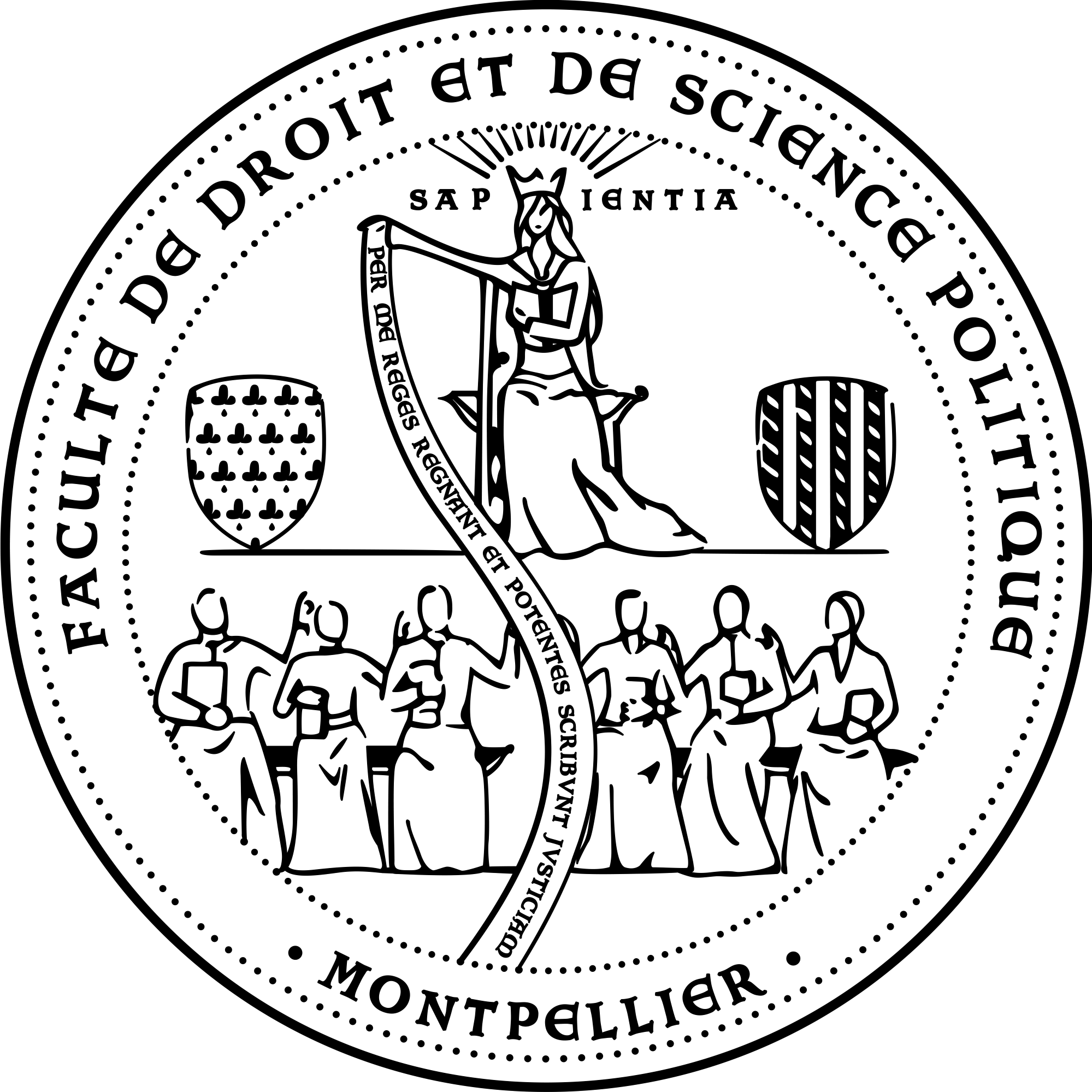 LOGO DSP noir-transp-modif