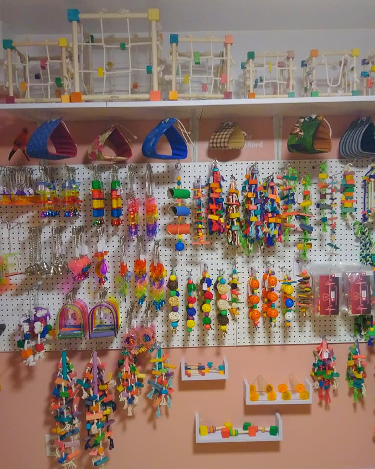 66481018 2504965176221373 4200112157288824832 n