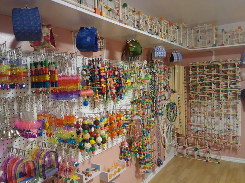 66716446 2504964839554740 4601024019813105664 n