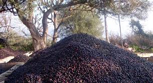 Images 7 