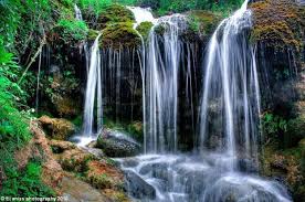 Images 8 