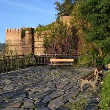 Images 14 
