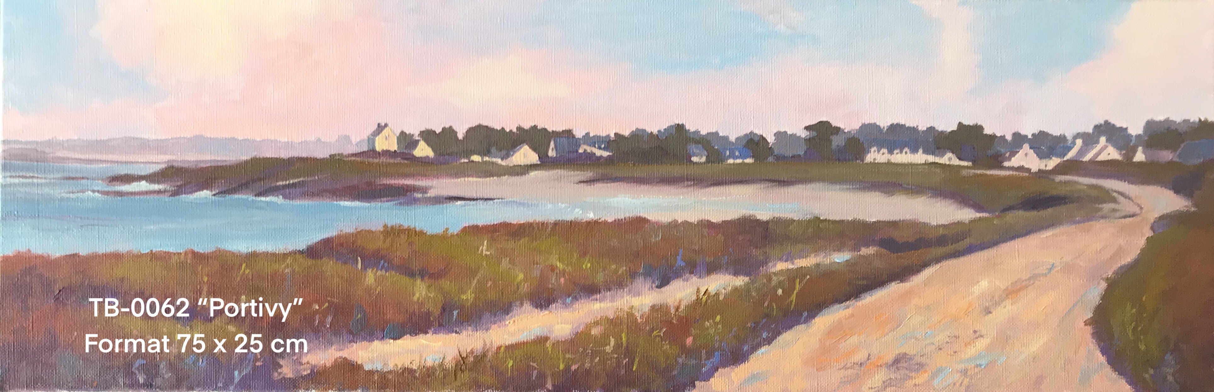 Ty by artiste peintre quiberon tb0062