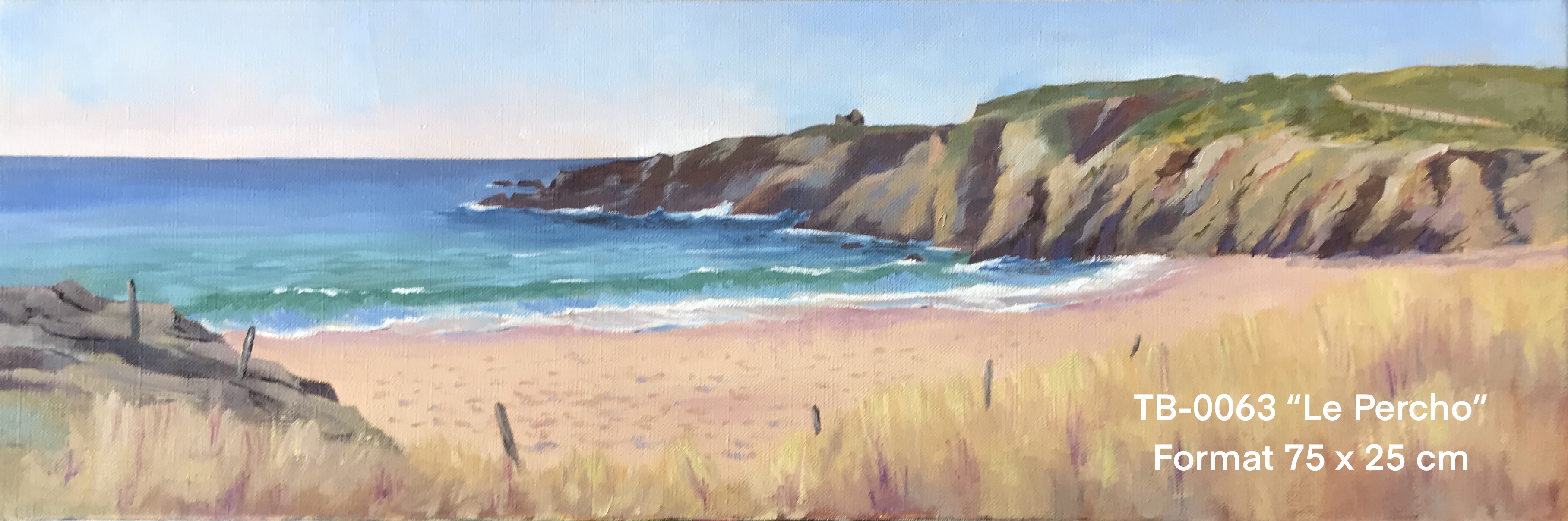 Ty by artiste peintre quiberon tb0063