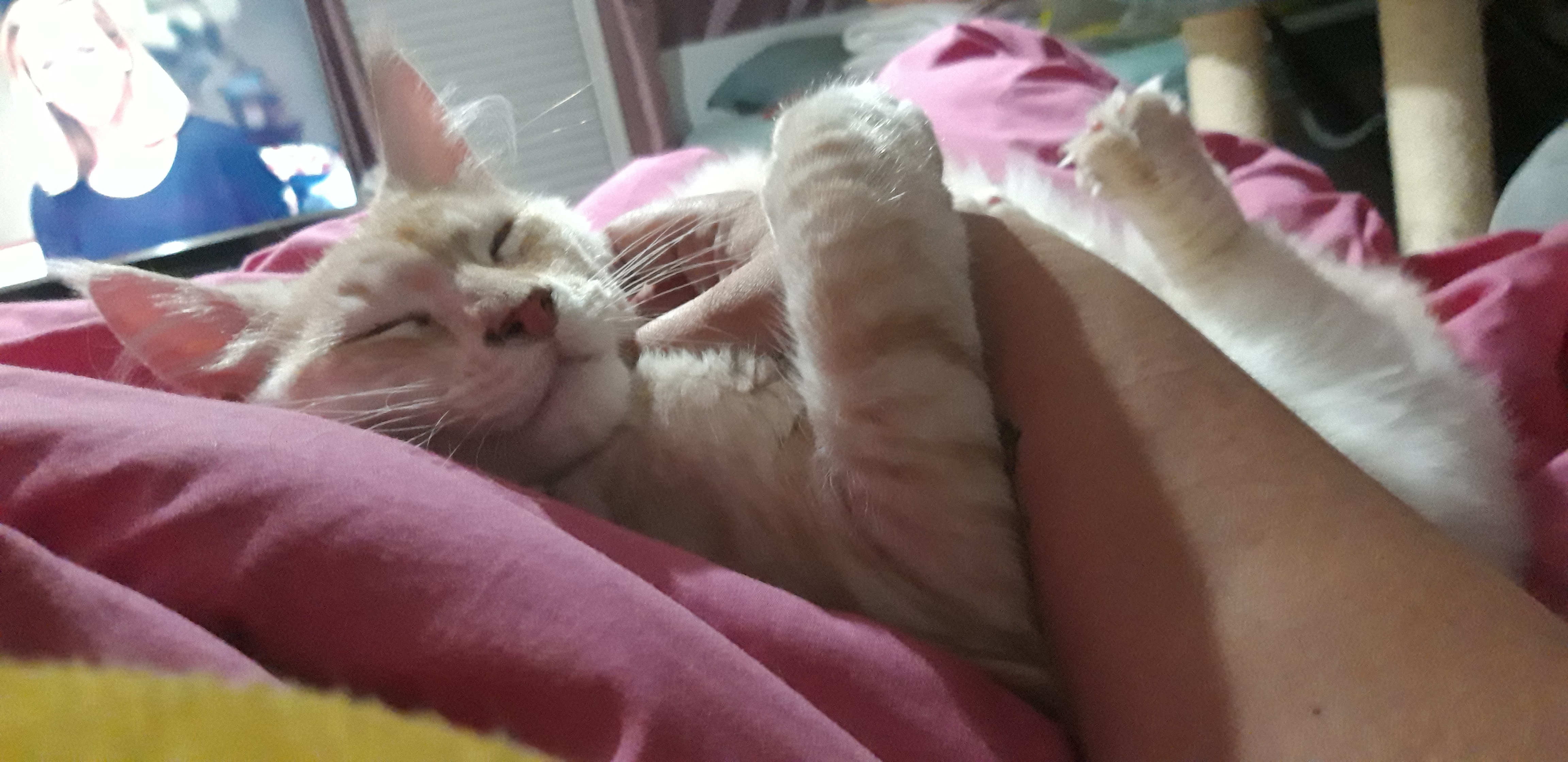 Ramses-1
