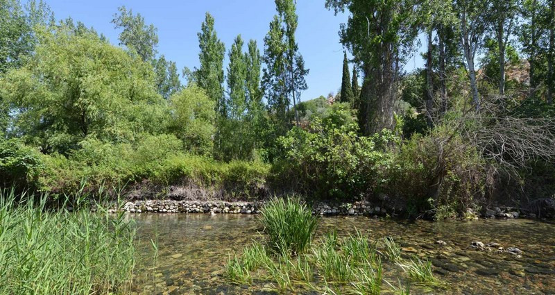 Chemin de Carême : Revenir à la source