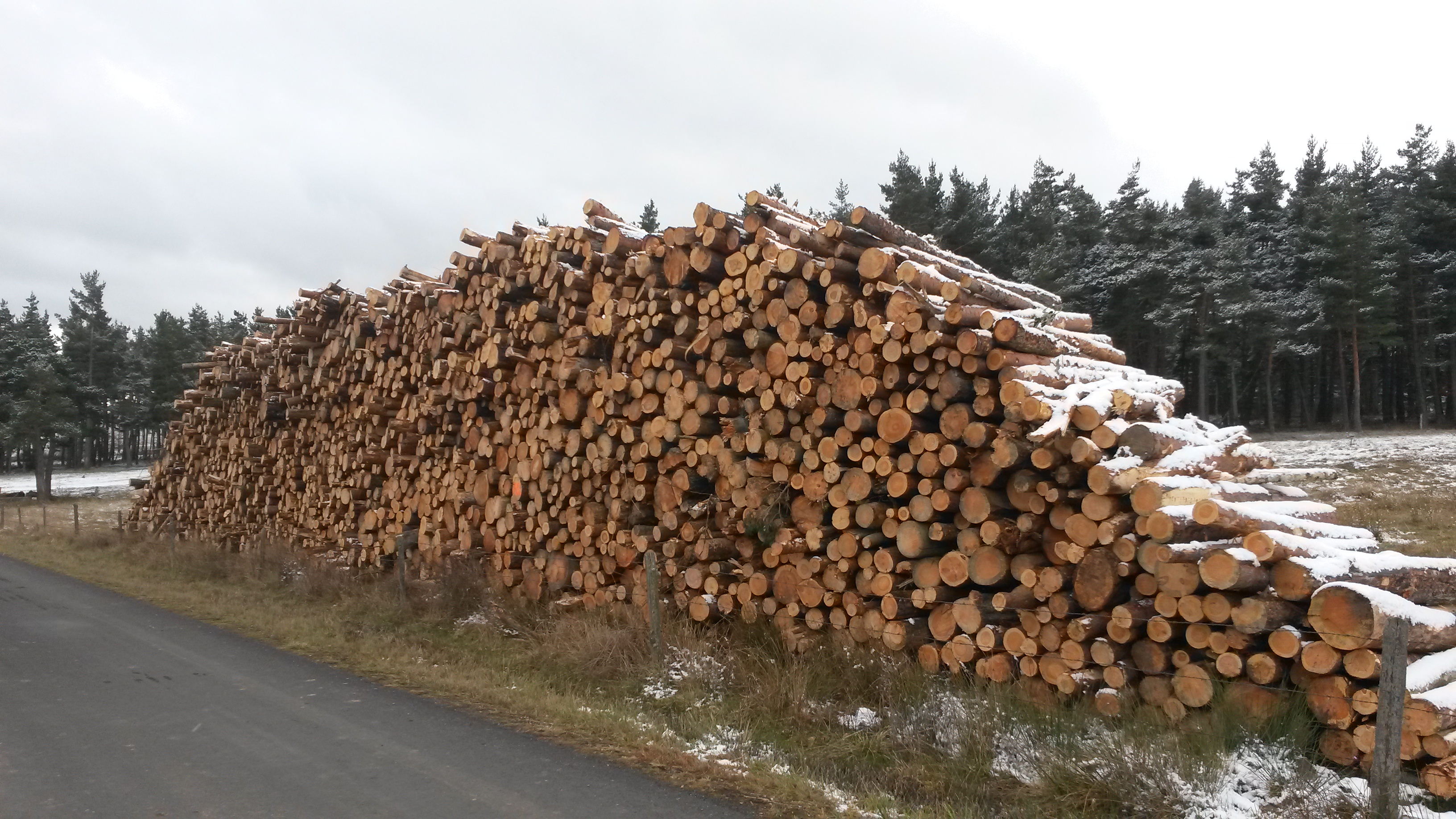 Pile de bois bord de route