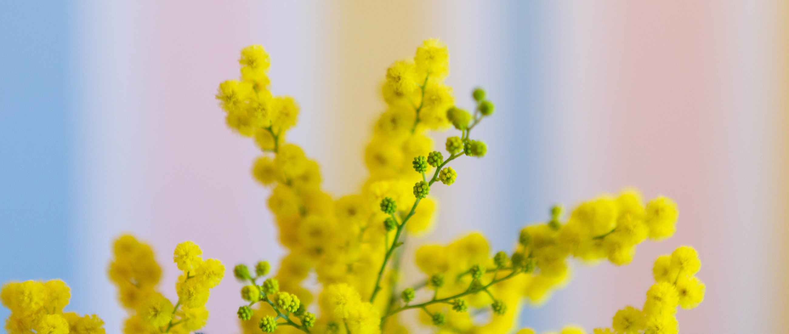 catalogue hiver 2025