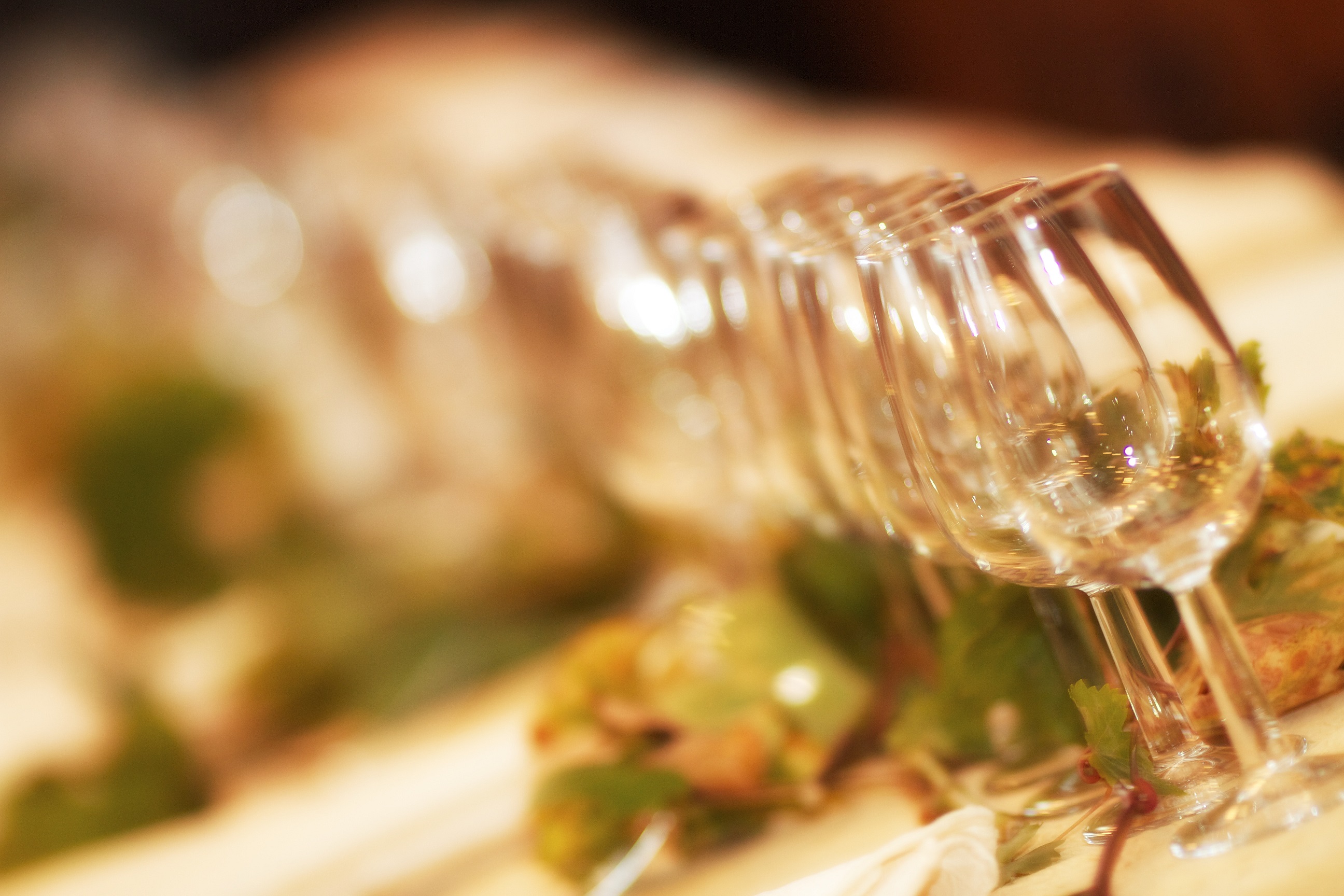 Soiree gaillac 0020