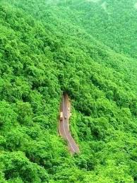Yakouran5