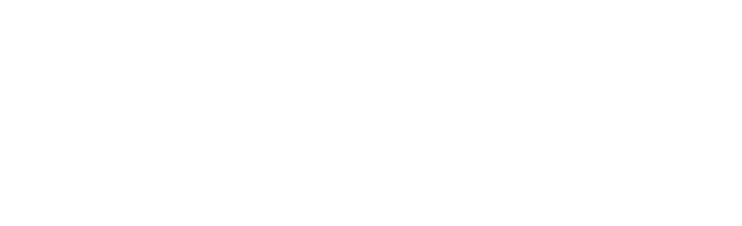 FireFlies-Studio-Logo-Horizo4-