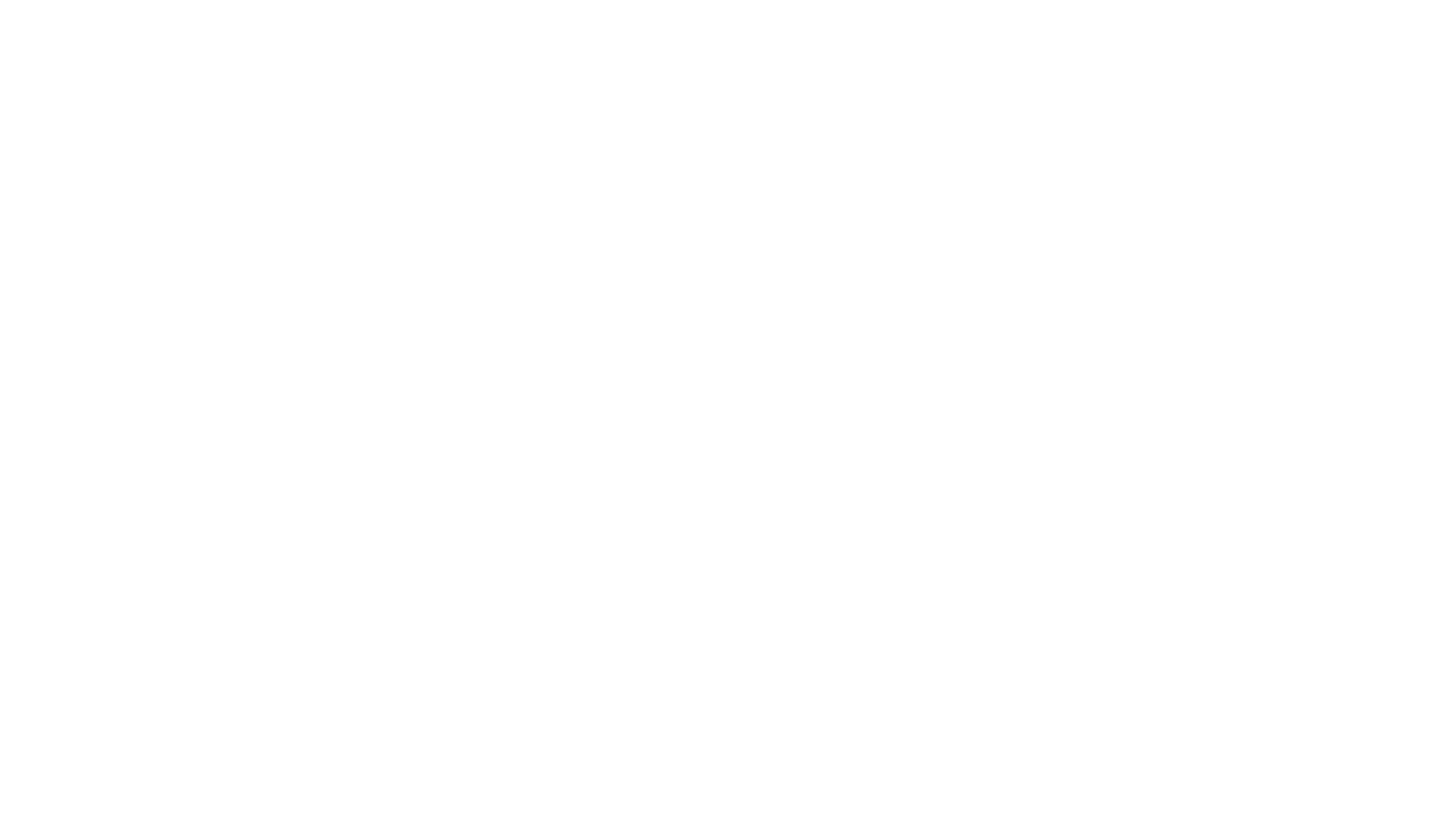 FFM-Logo