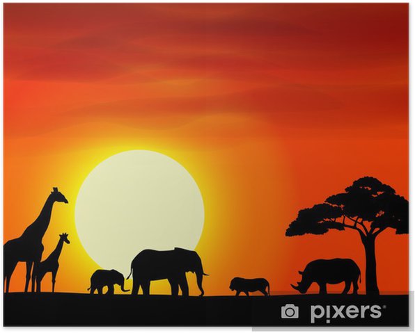 Posters africa safari paisaje de fondo