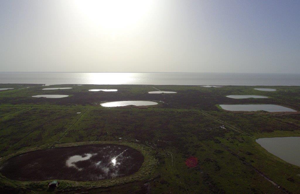 Dji 0005  dxo