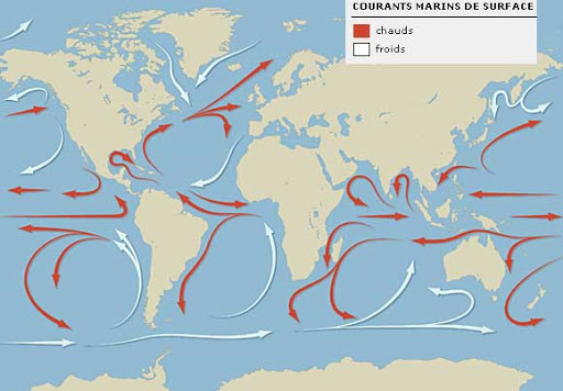 Courants-marins