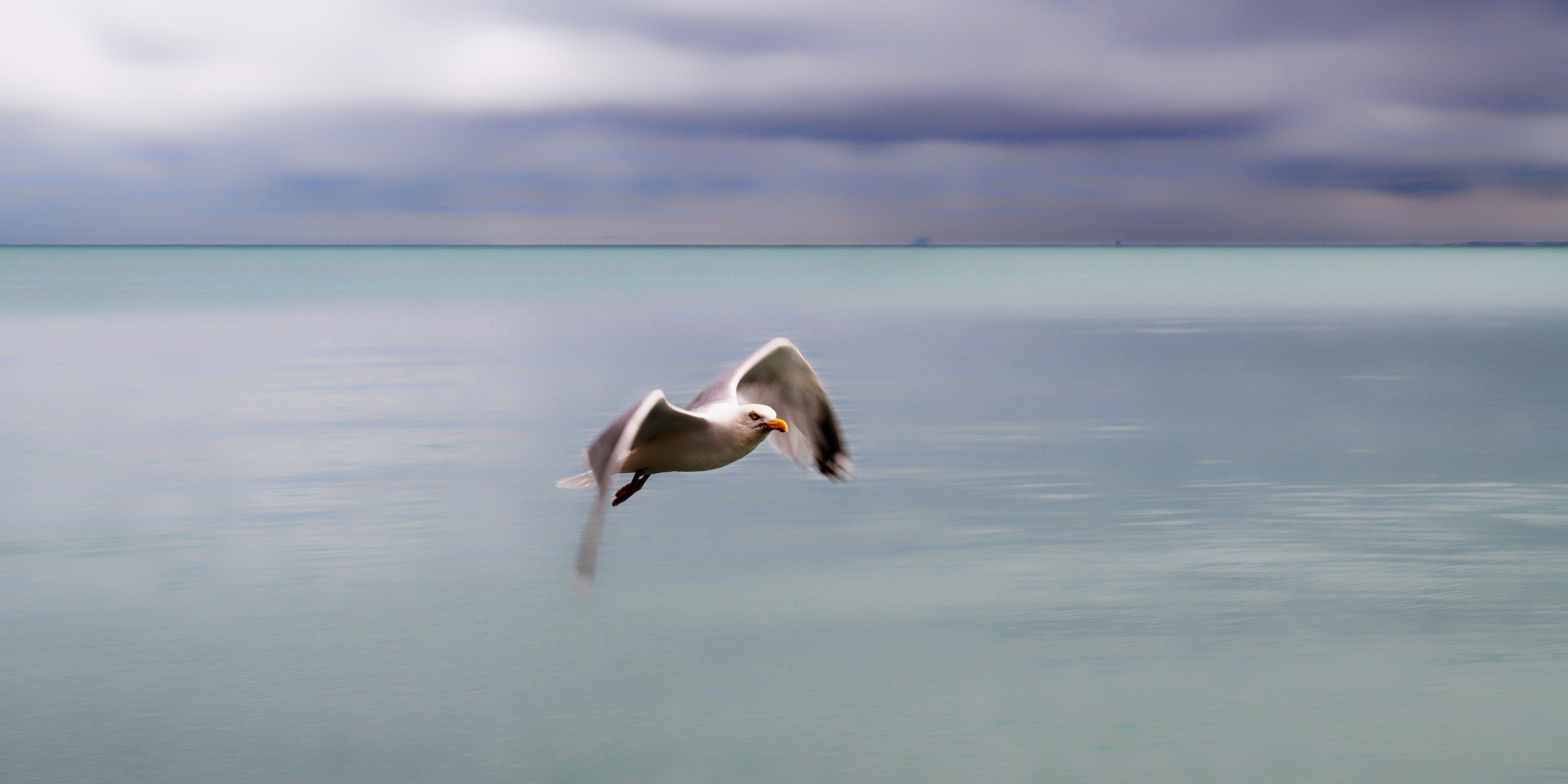S mouette d8c 6293 dxo