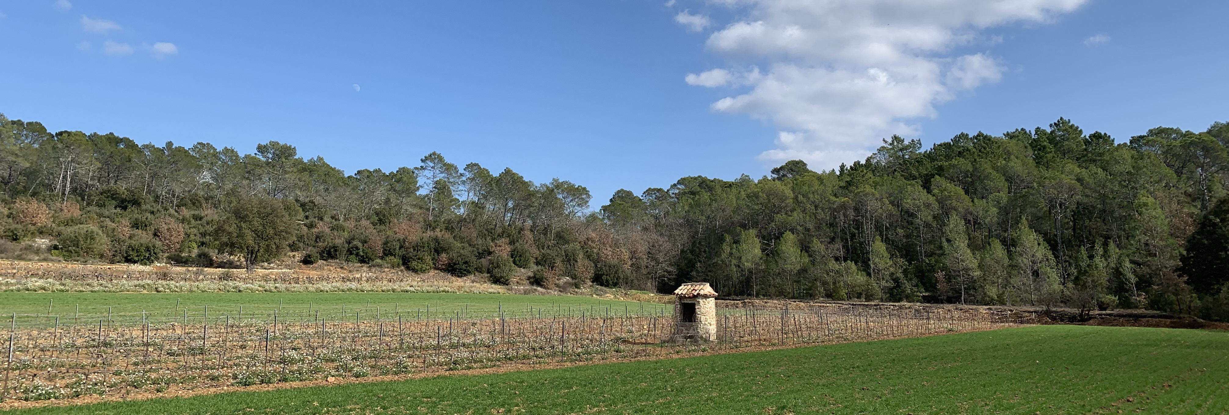 Carces-route-cotignac