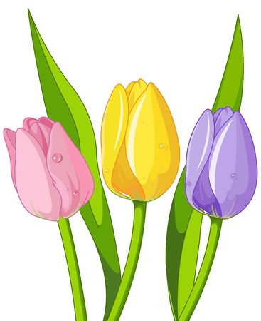 50902230-illustration-de-tulipes-bouquet