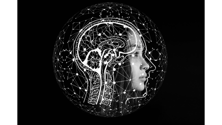 Mais que se passe-t-il donc dans le cerveau de nos ados ?