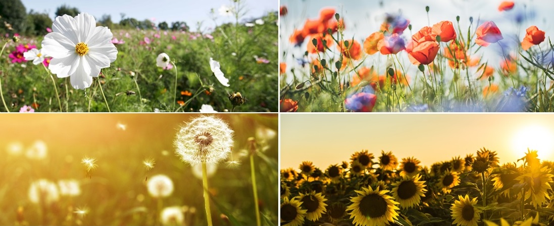 Fond-d-ecran-Body-Nature
