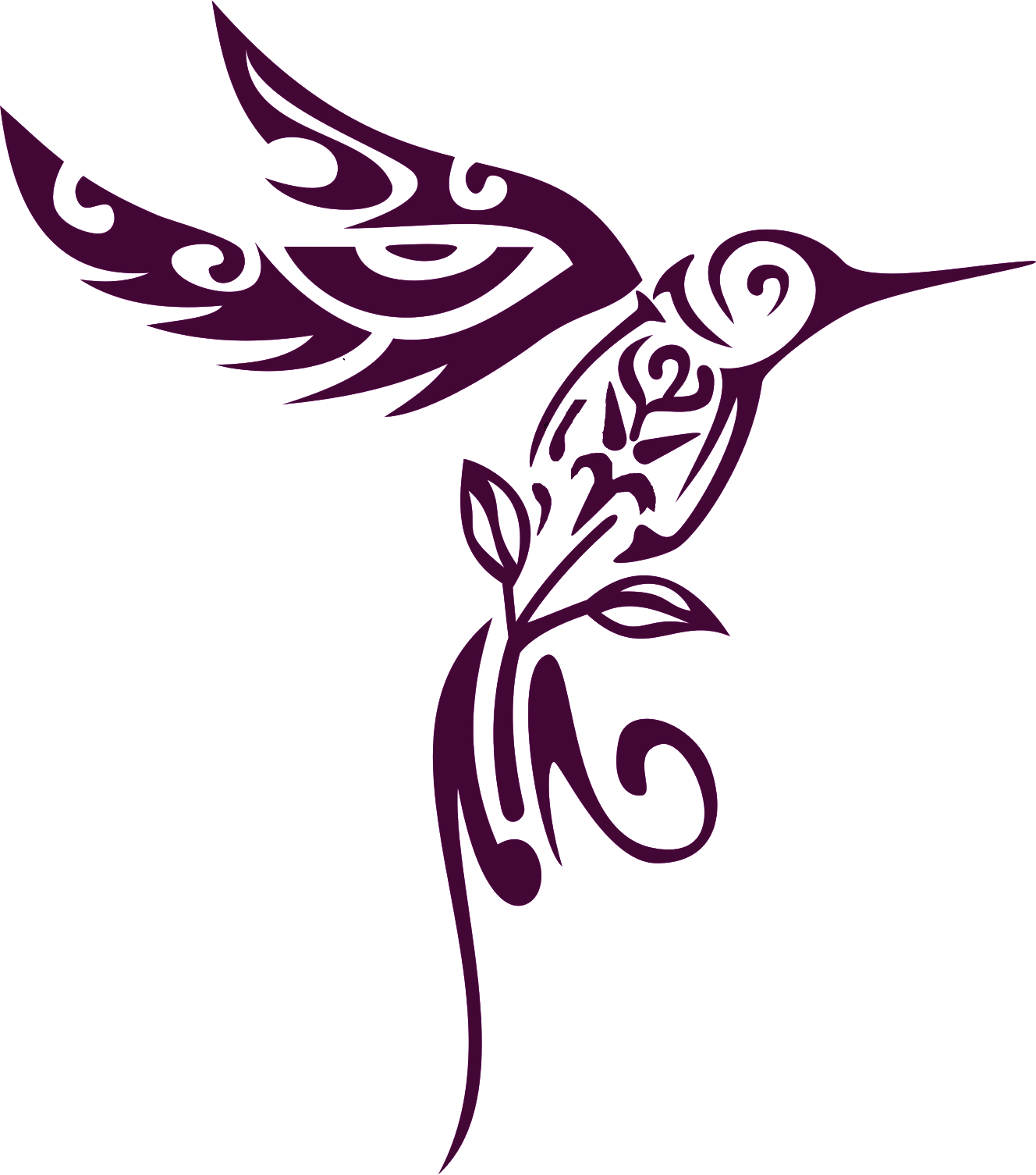 Colibri-sans-fond