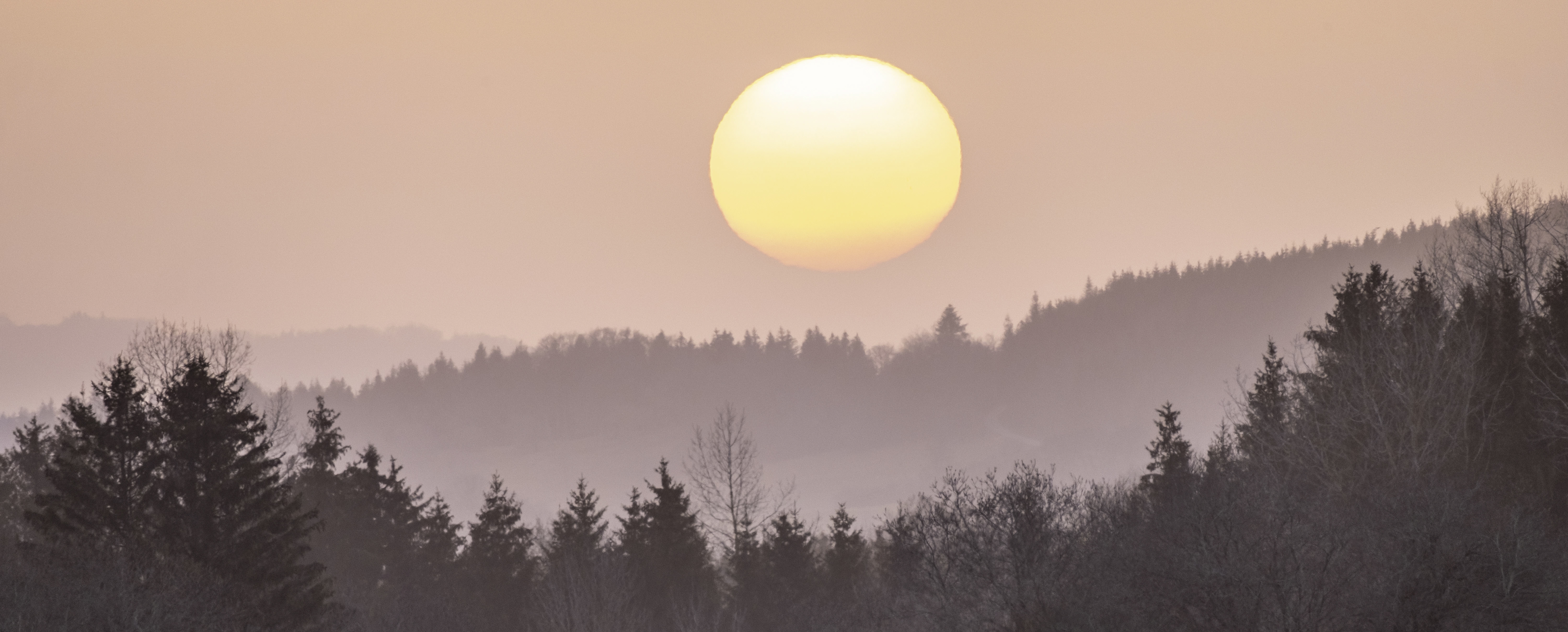 Fin de saison